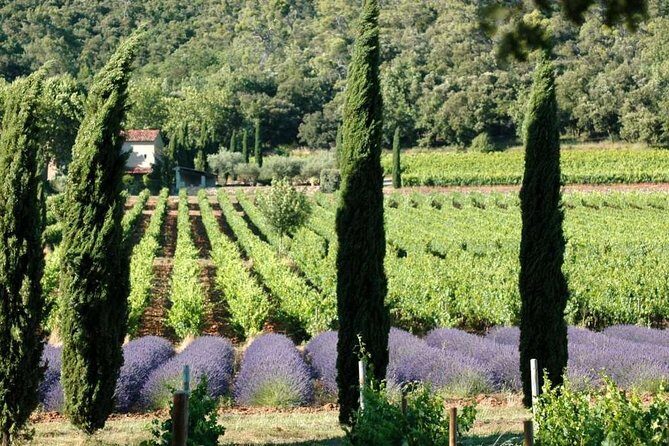 Half day Wine Tour in Côteaux Aix from Aix en Provence - Discover the Flavors of Provence with a Half-Day Wine Tour from Aix en Provence