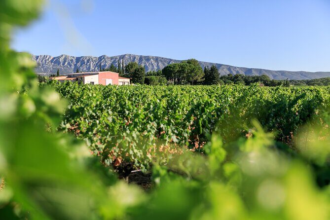 Half day Wine Tour in Côtes de Provence Sainte-Victoire from Aix en Provence - Introduction