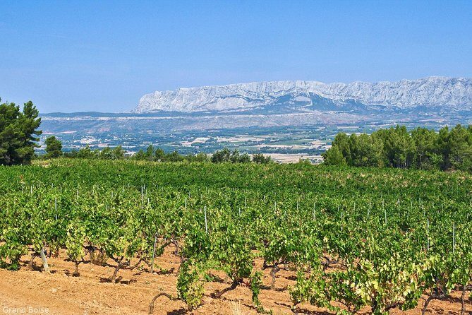 Half day Wine Tour in Côtes de Provence Sainte-Victoire from Aix en Provence - Key Points