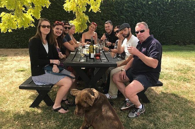 Half Day Wine Tour in Napier - Authentic Experiences and Real Traveler Feedback