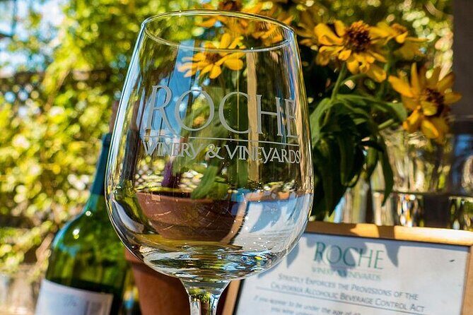 Half-Day Wine Tour Plus Hop-On Hop-Off Bus Pass - An In-Depth Look at the Tour
