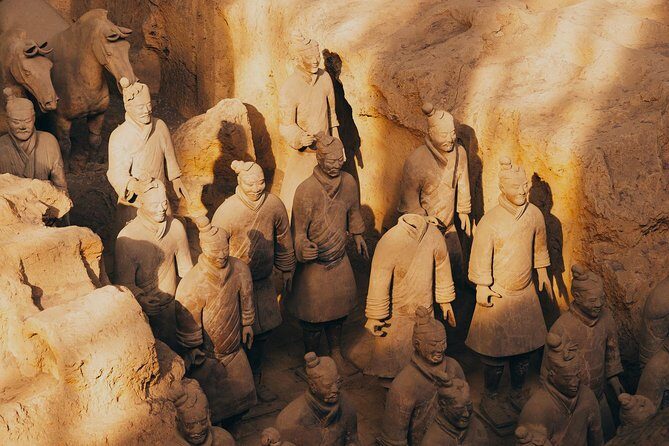 Half Day Xian Private Tour to Terracotta Warriors - The Value of This Tour
