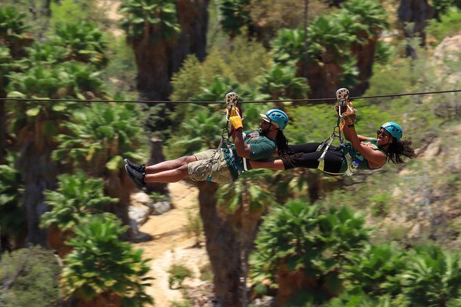 Half-Day Zip Line Adventure in Los Cabos - What You Can Expect from the Zip Line Adventure