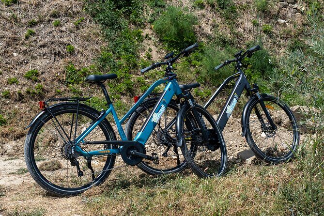Half Guided e-bike tour with lunch break - Frequently Asked Questions