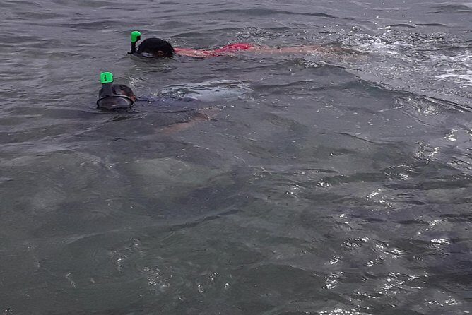 Half Island West side history/ snorkel tour - Practical Considerations: What You Need to Know