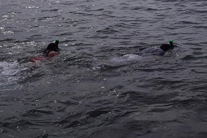 Half Island West side history/ snorkel tour - Who Should Consider This Tour?