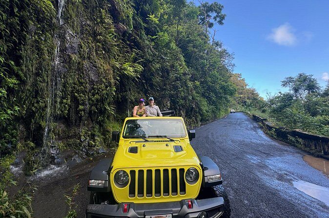 Half way to Hana Maui Open Air Jeep Private Tour - Stop 5: Keanae Point