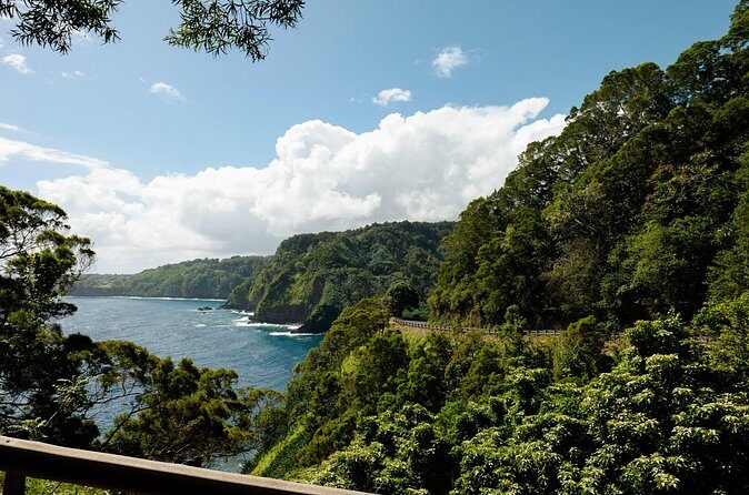 Half way to Hana Maui Open Air Jeep Private Tour - Stop 8: Puaa Kaa State Park