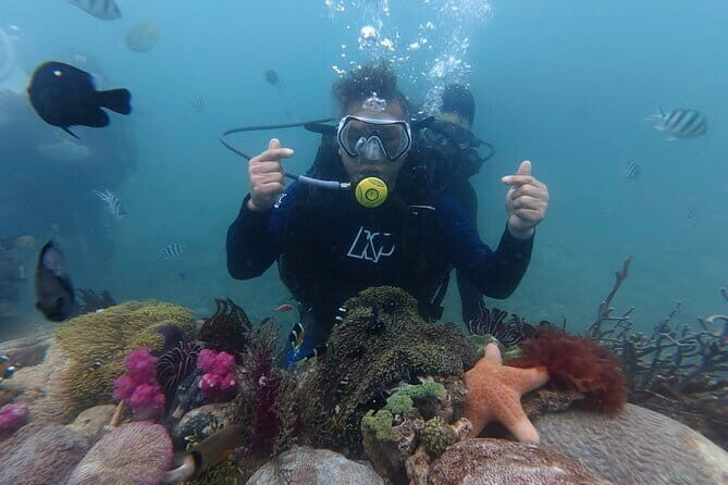 Halfday Snorkeling and Scuba Diving Experience from Nha Trang - Key Points