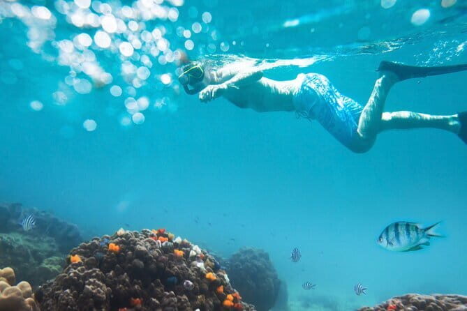 Halfday Snorkeling and Scuba Diving Experience from Nha Trang - What Makes This Tour Stand Out