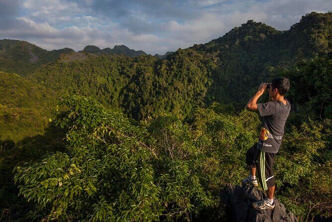 Halfday trekking Cat Ba Butterfly valley (more intense) - An In-Depth Look at the Cat Ba Butterfly Valley Trek