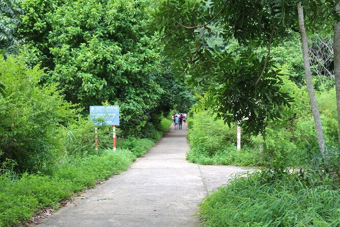 Halfday trekking Cat Ba Butterfly valley (more intense) - The Viewpoint: Emerging from the Canopy