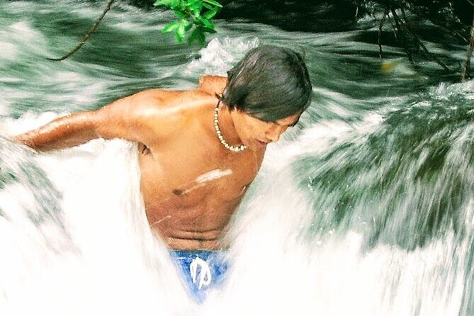Halfway to Hana Private Tour Maui BlackBeach Waterfalls Turtles - Key Points
