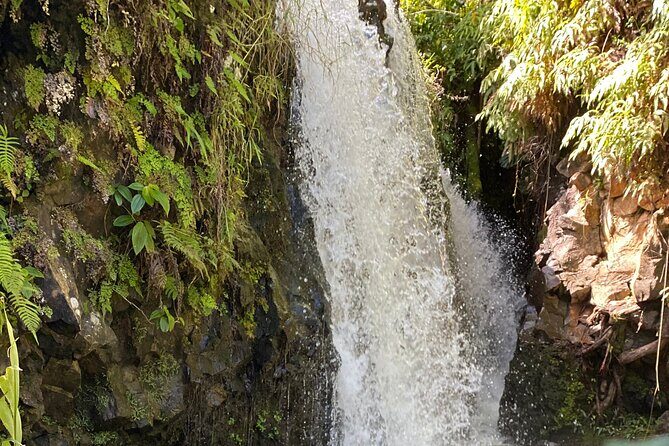 Halfway to Hana Sightseeing Adventure - Practical Details and What to Expect