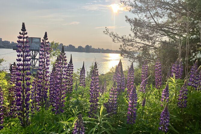 Halifax Like a Local Darkside Walking Tour - A Deep Dive into the Halifax Like a Local Darkside Walking Tour