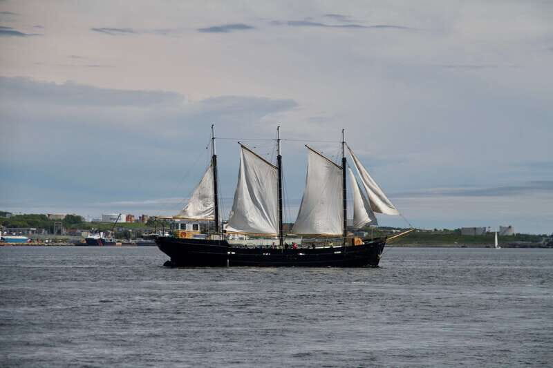 Halifax: Tall Ship Harbor Sailing Cruise with Live Music - Key Points