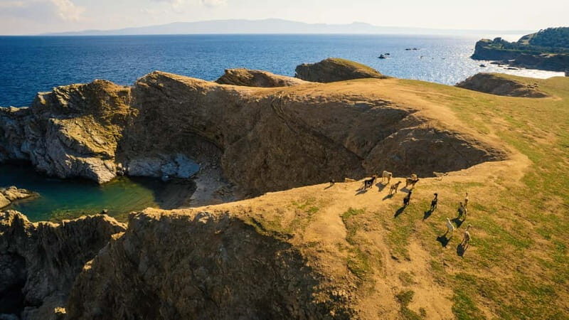 Halkidiki: Private Cruise to Ammouliani & Drenia Islands - FAQ