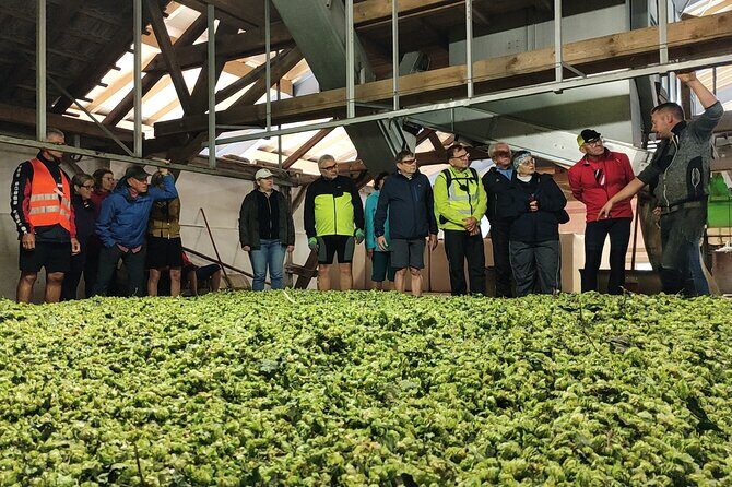 Hallertau experience with hop harvest, lunch and hop museum - Practical Details for Travelers