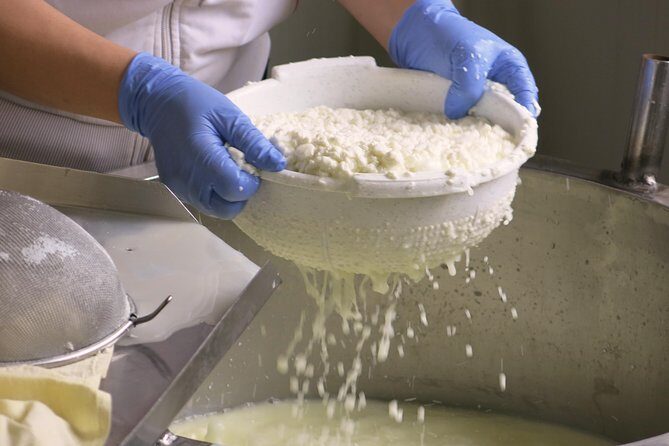 Halloumi Heaven: Cheese-Making Class & Troodos Mountain Villages 7h - The Cheese-Making Workshop at Axylou