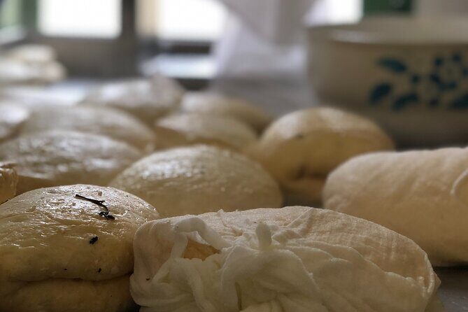 Halloumi Heaven: Cheese-Making Class & Troodos Mountain Villages 8h - An Authentic Taste of Cyprus: What to Expect