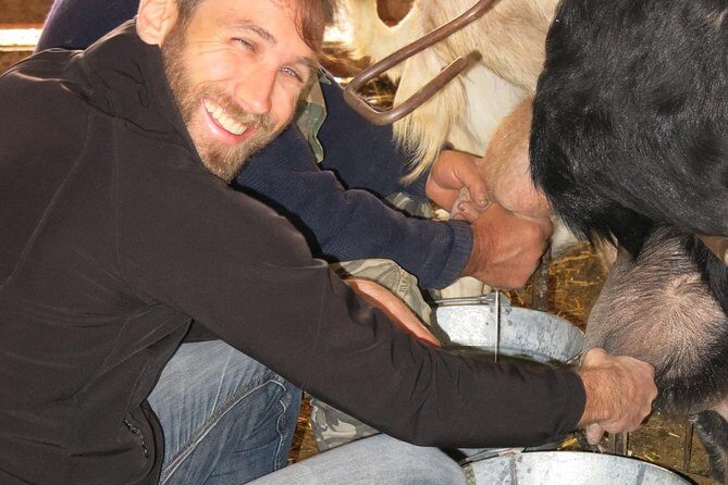 Halloumi Heaven: Cheese-Making Class & Troodos Mountain Villages 8h - The Sum Up