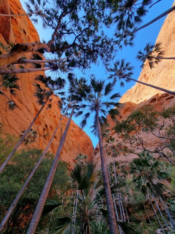 Halls Creek to Bungles: Fly /Drive + Aboriginal local guides - Who Is This Tour Best For?