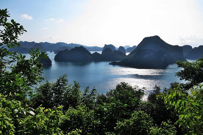 Halong Bay 2 Days-1 Night with Signature Cruise 5 Star - An In-Depth Look at the Signature Cruise Experience