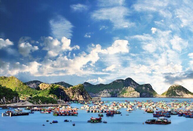 Halong Bay 2D1N BEST CRUISES All-Inclusive: Transfer, Meals, Kayak, Cave, Island - An Overview of the Experience