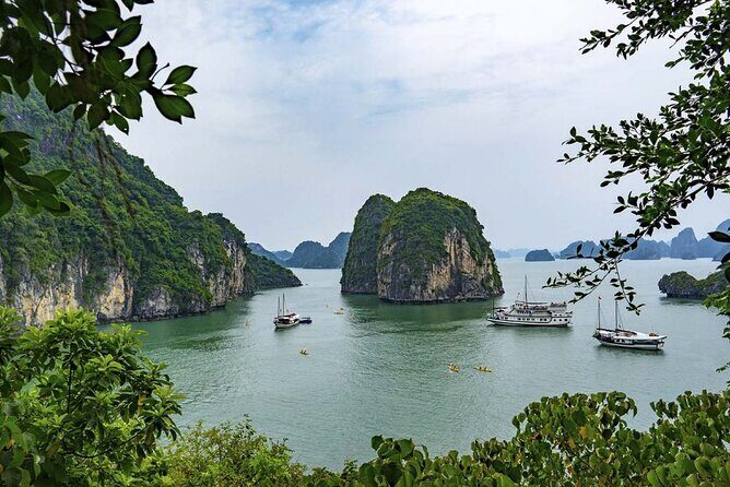 Halong Bay Cruise Luxury Full Day Tours - A Detailed Look at the Halong Bay Luxury Full Day Tour