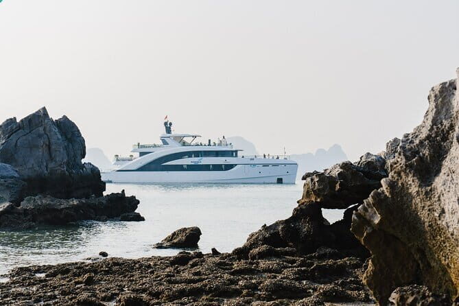 Halong Bay Day Trip Explore Caves, Kayak & Lunch by Saquila Yacht - The Experience in Detail