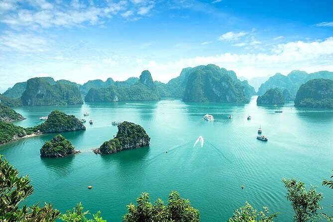 Halong Bay luxury day tour to Sung Sot Cave - Why This Tour Offers Great Value