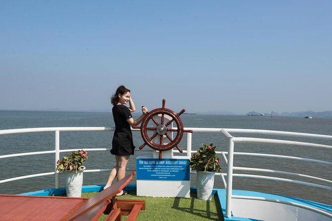 Halong Bay Luxury Day Trip (8Hours) - Who Will Love This Tour?