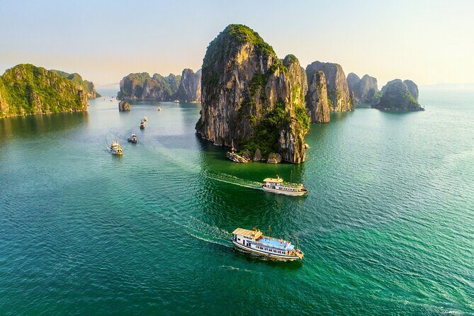 Halong Bay Standard Day Tour with Expressway Transfer from Hanoi - What the Reviews Say: Real Insights