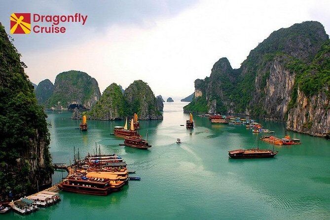 Halong Islands, Cave, Kayak, Bamboo Day Tour w Dragonfly Cruise - The Sum Up