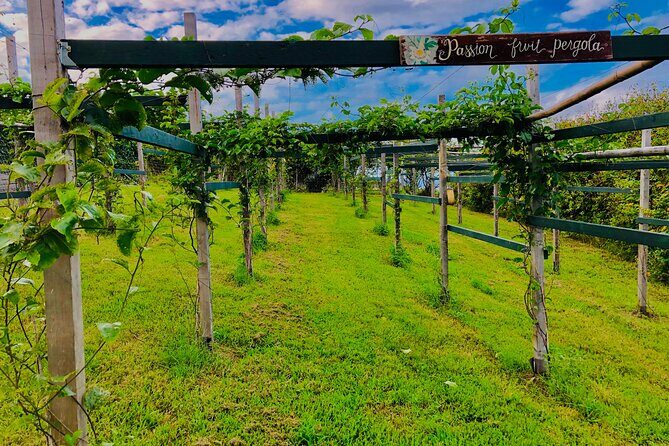 Hamakua Coast Farm Small-Group Walking and Tasting Tour - Review of the Hamakua Coast Farm Small-Group Walking and Tasting Tour