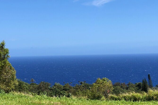 Hamakua Coast Farm Small-Group Walking and Tasting Tour - An In-Depth Look at the Farm Tour