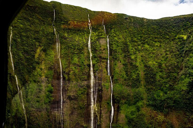 Hamakua Coast & Valleys Safari - Final Thoughts