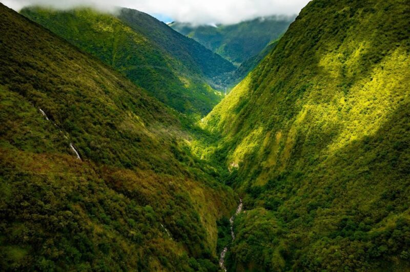 Hamakua Coast Waterfalls and Valleys Safari - An In-Depth Look at the Hamakua Coast Waterfalls and Valleys Safari