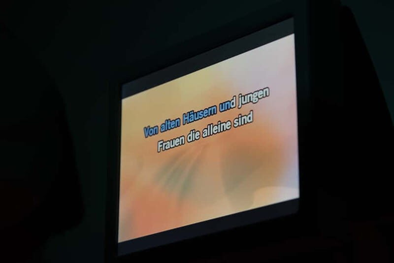 Hamburg: 1.5-Hour International Karaoke Bus Tour - Pricing and Value