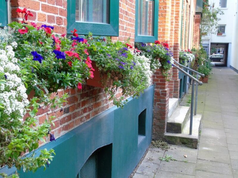 Hamburg: 2-Hour St. Georg Walking Tour - The Value of This Tour