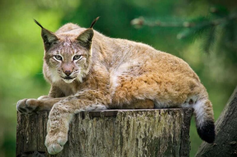 Hamburg: Altes Land Private Nature and Agriculture Tour - Key Points