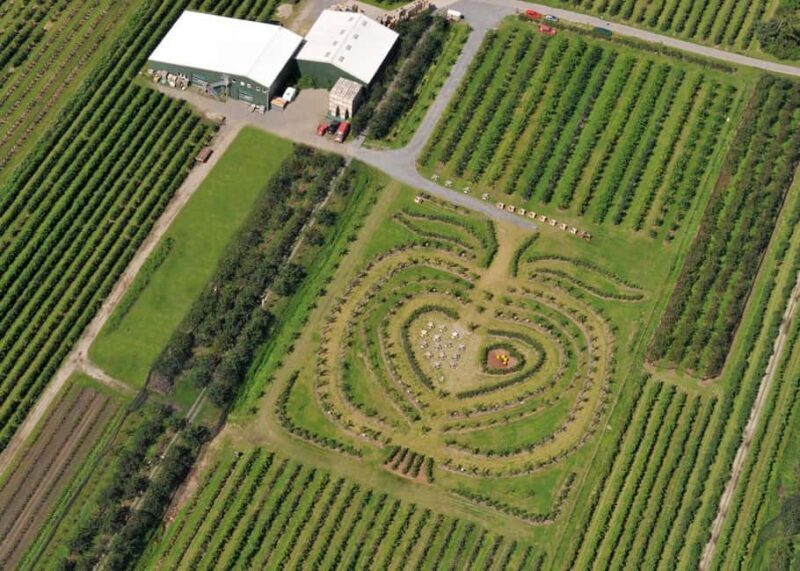 Hamburg: Altes Land Private Nature and Agriculture Tour - Final Thoughts