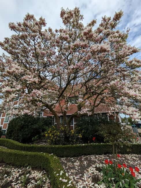 Hamburg Country Side - Altes Land - A Deep Dive into the Hamburg Country Side - Altes Land Tour