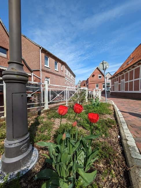 Hamburg Country Side - Altes Land - Why Choose This Tour? The Strengths and Considerations