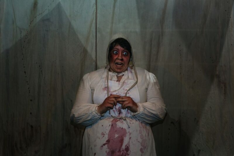 Hamburg: Hamburg Dungeon Admission Ticket - FAQ