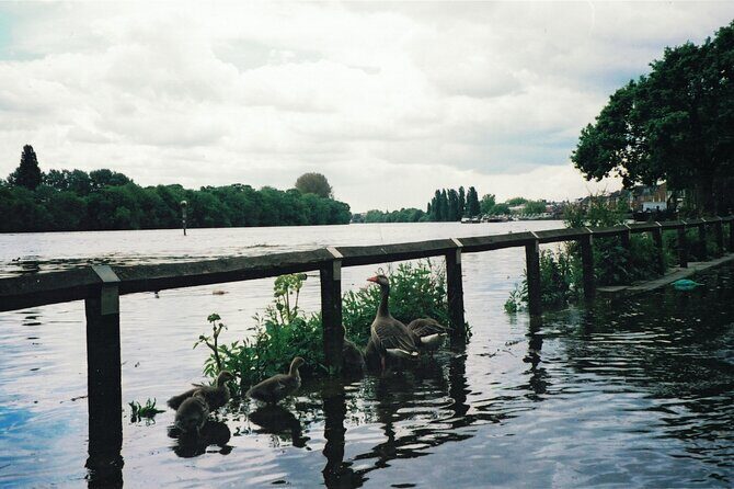 Hammersmith to Chiswick: A Self-Guided Audio Tour along the Riverside - FAQ