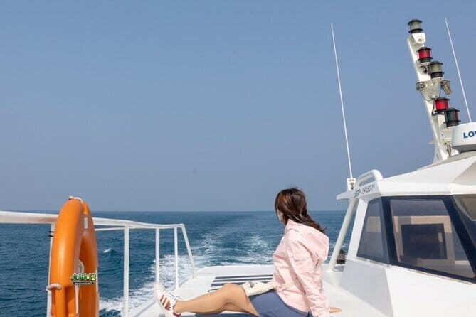 Hamo Yacht Cruise Dolphin Tour Ticket in Jeju - An In-Depth Look at the Jeju Dolphin Yacht Tour