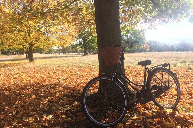 Hampton Court Palace Grounds Bike Tour - Timing and Group Size: Why They Matter
