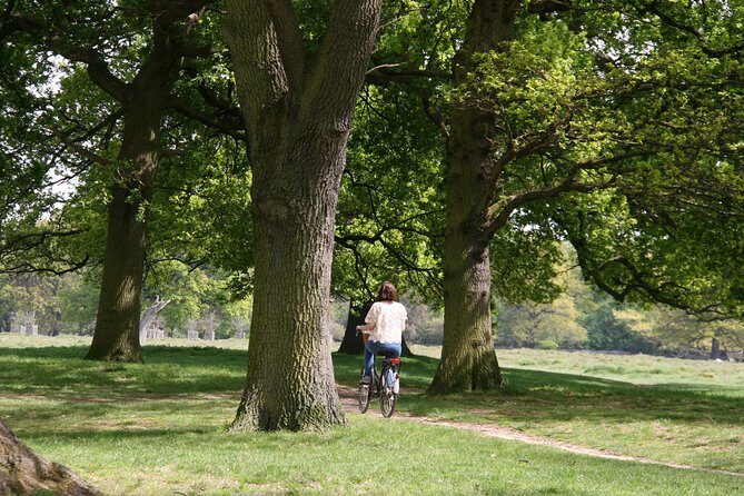 Hampton Court Palace Grounds Bike Tour - What Could Be Improved?