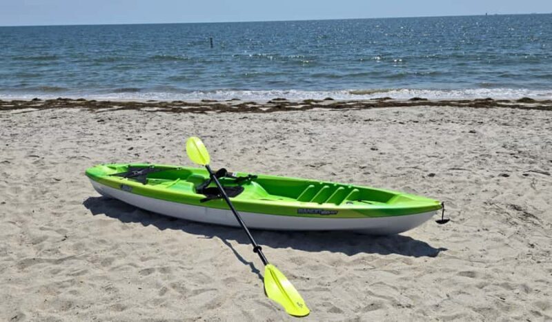 Hampton: Sit-on-Top Kayak Rental at Buckroe Beach - The Experience: A Close-Up View of Chesapeake Bay